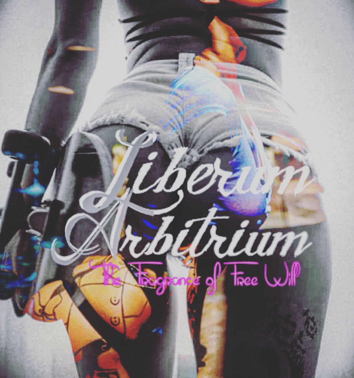 Liberum Arbitrium campaign image three